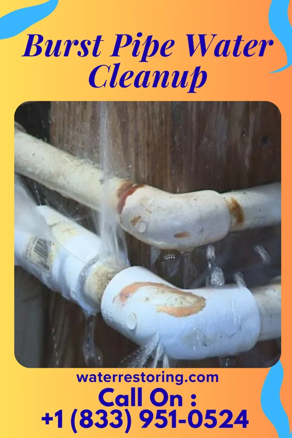 Burst Pipe Water Cleanup in Westwood, KY