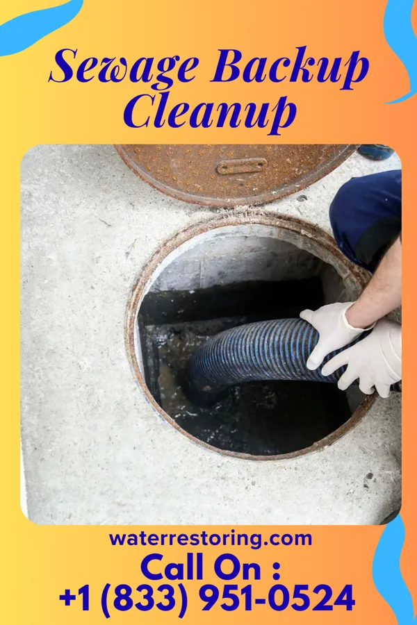 Sewage Backup Cleanup in Westwood, KY
