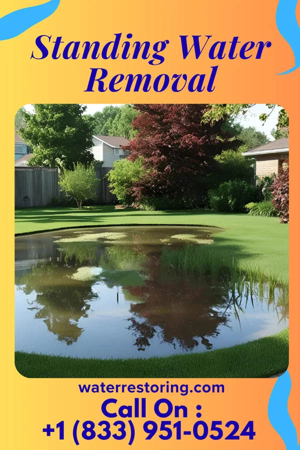Standing Water Removal in Westwood, KY
